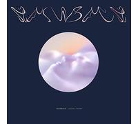 Hainbach - Landfill Totems