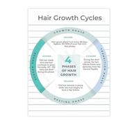 Hair Growth Cycle Phases Educational Science Diagram Canvas Wall Art for Bathroom Salon Decor(Unframed,16x24inch(40x60cm))