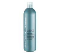 HAIR HAUS Super Brilliant Care Moisture Shampoo 500 ml