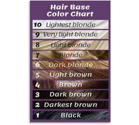 Hair Shade Level Chart 1 10 Salon Decor Poster