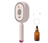 Hair Straightener Brush - Rechargeable Smoothing Styling Tool for All Hair Types | Ionic Heat Technology with Anti Frizz Glide Design, Steam Detangling Heated Comb for Travel Safety Hairs Care Device