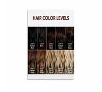 Hair Tone Level Reference Poster For Beauty Spaces