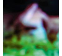 Hair & Treasure - Disc Rot (Lp)