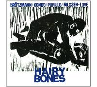 Hairy Bones by Peter Brotzmann