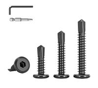 HAISHANG 40 Pezzi Viti Autoforanti 6.3x25mm, Acciaio Inossidabile 410 Nero Testa Svasata con Esagono Interno, Viti Autofilettanti per Strutture Metalliche e Legno