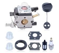 Haishine Kit carburatore BG72 per soffiatori Stihl BG72 e BG4227; include carburatore con guarnizione; sostituisce i codici WT253, WT-253-1 e 42271200600