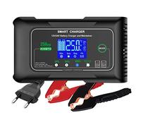 Haisito Carica Batterie per Auto 12V/24V 25A, Caricabatterie Auto Intelligente Caricabatteria e Mantenitore Moto Portatile per Batterie al Litio, LiFePO4, Piombo-acido(AGM, GEL, EFB, SLA, VRLA)