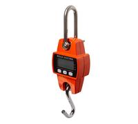 Hakenwaage Elettronico Bilancia 300 KG Hängewage Industria Cuscinetto Officina