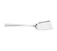 HAKIDZEL Badile per Carbone in Acciaio al Cromo Argento, Pala Mini per Cenere Design Compatto, per Barbecue e Uso Domestico, Facile da Usare e Efficiente