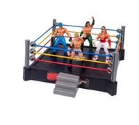 Halearo Giocattoli da Combattimento Set di Giocattoli da Wrestling con 12 Lottatori e 1 a Molla per Bambini dai 3 Ai 14 Anni - Costruzione in Plastica (Grigio)