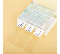 Halearo Set di Vetrini per Microscopio Preparati, 25 Pezzi Biologia | Include varie piante, vetrini per insetti, etichettati, olio di legno di cedro, uso didattico