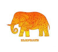 Half a Donkey Strofinaccio, Cotone, Arancione, 47 x 65 cm