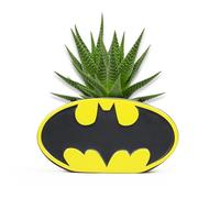 Half Moon Bay Centrotavola Vaso porta fiori DC Comics Batman Personalizzato Licenza Ufficiale 100% B