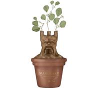 Half Moon Bay: Centrotavola Harry Potter Mandragola | Vaso Porta Fiori personalizzato Harry Potter, Licenza Ufficiale 100%, ideale come decorazione casa, centrotavola moderna o Harry Potter Gadget