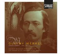 Halgeir Schiager - Gustav Merkel: Organ Works, Vol. 3