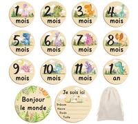 Halinuia Biglietto per bambini, in legno francese, regalo per nascita, 26 momenti della nascita a 1 anno su 13 dischi in legno incisi fronte/retro, biglietti per bambini Milestone per futuri genitori