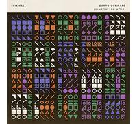 Simeon Ten Holt Canto Ostinato (Vinyl LP) 12" Album