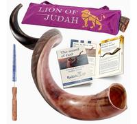 HalleluYAH Kosher Kudu Shofar semi-lucidato originale | Da Israele