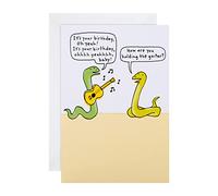 Hallmark Biglietto di auguri di compleanno generico - Shoebox Humour