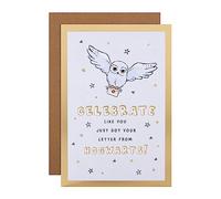 Hallmark Biglietto di compleanno - Harry Potter Hedwig Owl & Letter Design