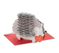 Hallmark Carta Wonder Pop Up Valentines Day Card (Honeycomb Hedgehog)