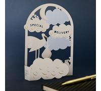 Hallmark Hall & Co Premium 3D & Pop Up Special Delivery Design - Biglietto d'auguri per nascita, bambina, ragazzo, nascita del bambino, ricordo, bianco