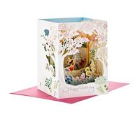 Hallmark Paper Wonder - Biglietto di auguri pop up da donna (Beautiful Day)