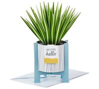 Hallmark Paper Wonder Mother's Day Pop Up Card (Potted Spider Plant) for Nures Day, Admin Professional Day, Any Occasion