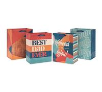 Hallmark Sacchetto regalo medio da 22,9 cm per papà