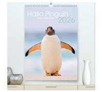 Hallo Pinguin (hochwertiger Premium Wandkalender 2026 DIN A2 hoch), Kunstdruck in Hochglanz: Ein Jahr lang Pinguine auf den Falklandinseln.