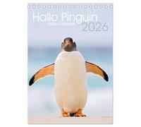 Hallo Pinguin (Tischkalender 2026 DIN A5 hoch), CALVENDO Monatskalender: Ein Jahr lang Pinguine auf den Falklandinseln.