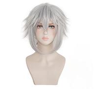Halloween Costume Kingdom Hearts Riku Cosplay Wig Short Silver Grey Role Play Synthetic Hair