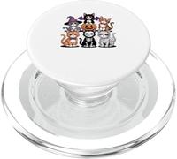 Halloween Gatto Domestico a Pelo Corto Gatto Meticcio PopSockets PopGrip per MagSafe