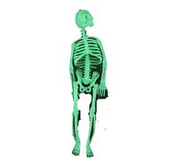 Halloween Luminous Skeleton Skeleton Body, Halloween Decorations, Scary Halloween Toys Haunted Houses Trucky Props Halloween Toys Halloween DecorationsDurability