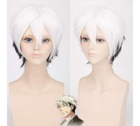 Halloween Moda Festa di Natale Vestire Parrucca Cos Parrucca Argento Fata Shigaraki Bianco e Nero Anti-Warping Anime Parrucca 054