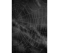 Halloween Notebook: Lined Journal For Back to School, Office, Work With Scary & Spooky Spiderweb Design