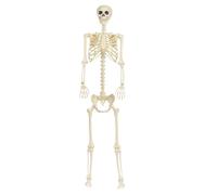 Halloween Skeleton Decorations, Movable Full Body Skeleton Prop, Realistic Life Size Bones Figure, Compact Polymer Construction, Ideal for Outdoor, Yard, Graveyard, and Party Decor