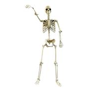 Halloween Skeleton, Realistic Posable Skeletons Figure, Weather-Resistant Spooky Prop, Movable Joints Scary Displays, Good for Porch Lawn Courtyard Party Photo Decor, 90 x 24 cm