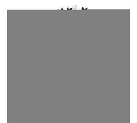 Halloween String Lights, LED Willow Vine, 2.7m/8.86ft 8-Mode Waterproof Lighting, Battery Operated, (Indoor Outdoor Use), for Mantle, Window, Balcony, Home Decoration ABS