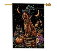 Halloween Witch Irish Setter Dog Front Yard Backyard Juta Verticale Casa Bandiere 28x40 Double Face per Esterno, Divertente Libro Magico Cucciolo Casa Stampato Bandiera, Pet Witchy Home Outdoor