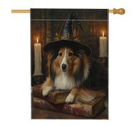 Halloween Witch Shetland Sheepdog Dog Front Yard Linen Vertical House Flags 28x40 Double Sided per l'esterno, libro magico candela cucciolo stampa bandiera casa, bandiera vintage per la casa