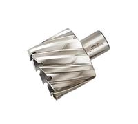 Halls Rotabroach™ Cutter HSS Raptor 50 X 25Mm HLLRAP500