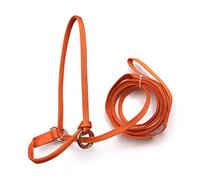 Halter-All Mini puledro in miniatura extra piccolo senza fine regolabile con guinzaglio USA (cavezza cavallo) (verde acqua)