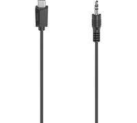 Hama 00200729 cavo audio 0,75 m 3.5mm USB tipo-C Nero (Hama USB Type-C Male to 3.5mm Jack Male Adapter, White, 0.75 Metre)