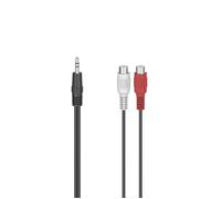 Hama 3.5 Mm M To 2rca H Cable Trasparente