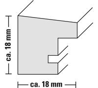 Hama Oslo eiche 13x18 Holz inkl. Passepartout 175935