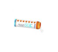 HAMAMELIS VIRGINIANA*5CH 80GR