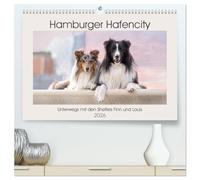 Hamburger Hafencity - Unterwegs mit den Shelties Finn und Louis (hochwertiger Premium Wandkalender 2026 DIN A2 quer), Kunstdruck in Hochglanz: ... Hunde auf ihrem Stadtbummel durch Hamburg.