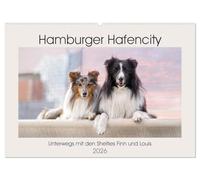 Hamburger Hafencity - Unterwegs mit den Shelties Finn und Louis (Wandkalender 2026 DIN A2 quer), CALVENDO Monatskalender: Begleiten sie zwei kleine Hunde auf ihrem Stadtbummel durch Hamburg.