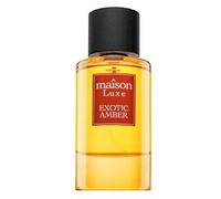 Hamidi Maison Luxe Exotic Amber profumo da uomo 110 ml
